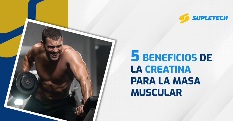 5 beneficios de la creatina para la masa muscular